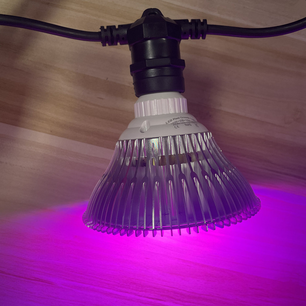 10M Cable LED String Commercia - огляд і ціна Outdoor Lighting Extension Cord
